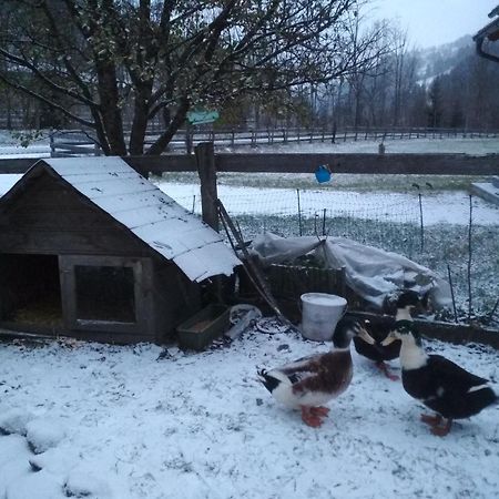 Gaestehaus Blonbauer Leilighet Schladming Eksteriør bilde