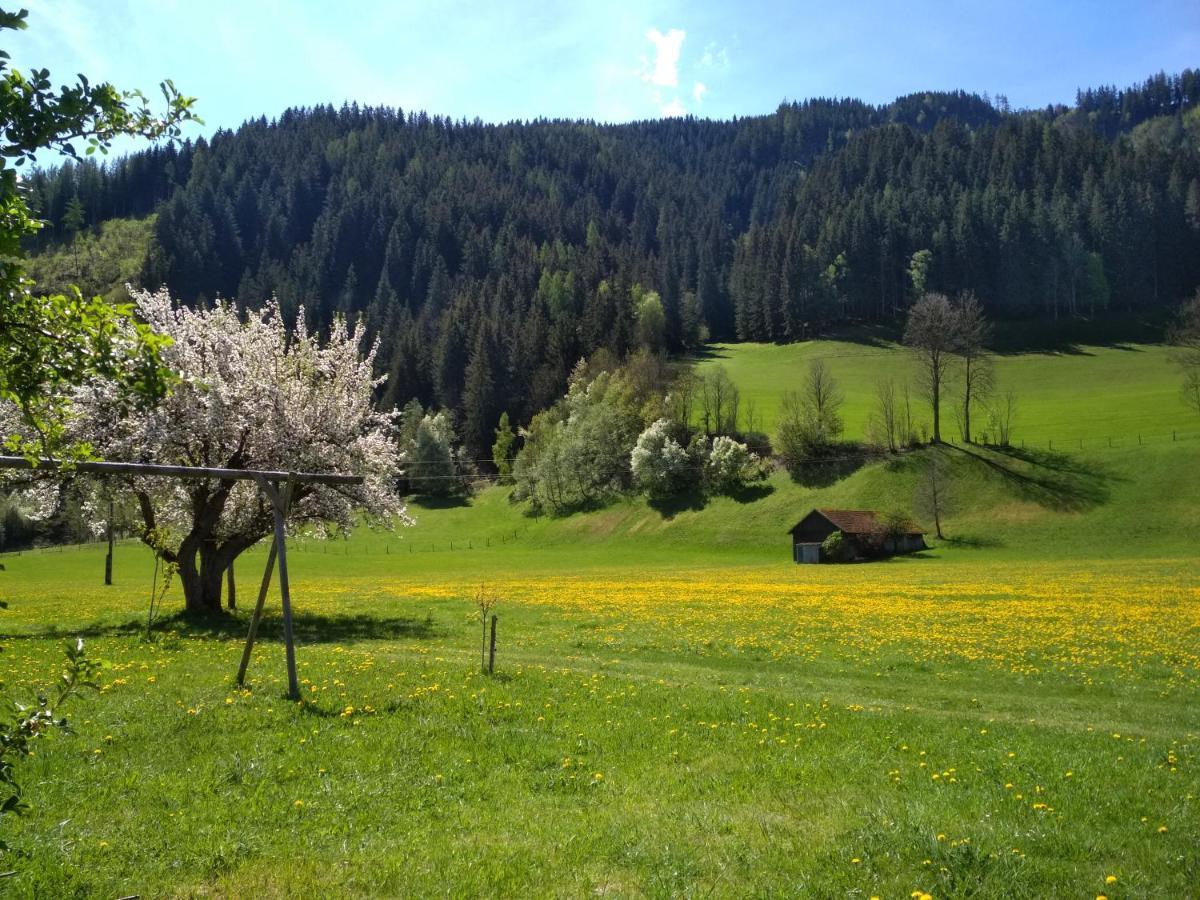 Gaestehaus Blonbauer Leilighet Schladming Eksteriør bilde